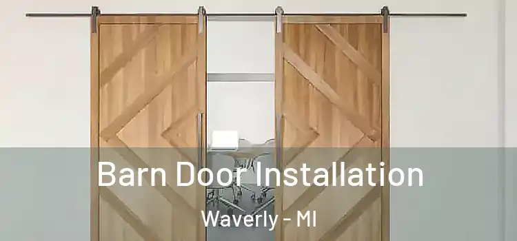  Barn Door Installation Waverly - MI
