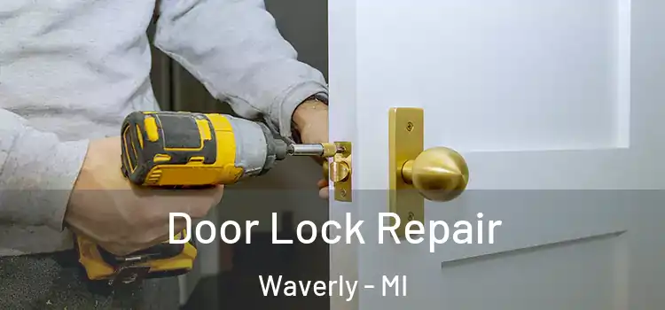 Door Lock Repair Waverly - MI