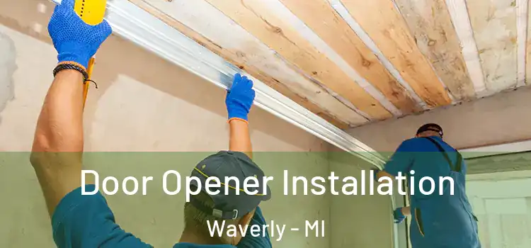 Door Opener Installation Waverly - MI