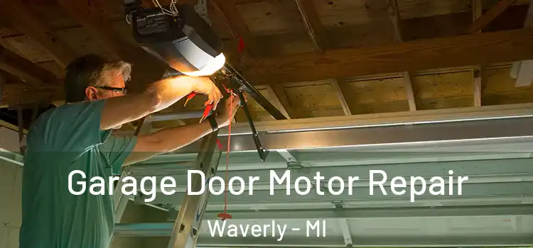  Garage Door Motor Repair Waverly - MI