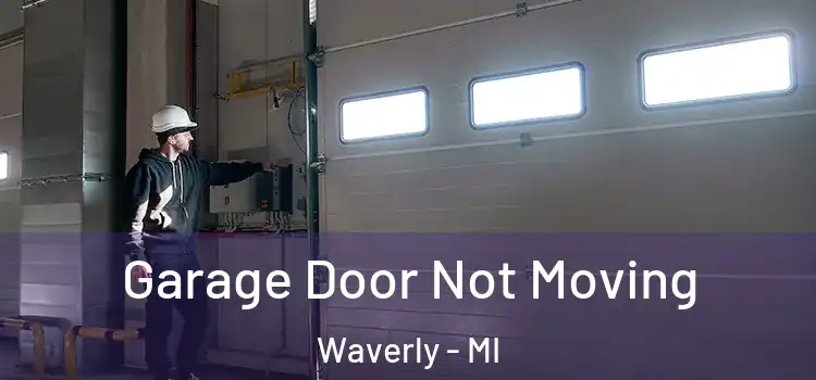  Garage Door Not Moving Waverly - MI