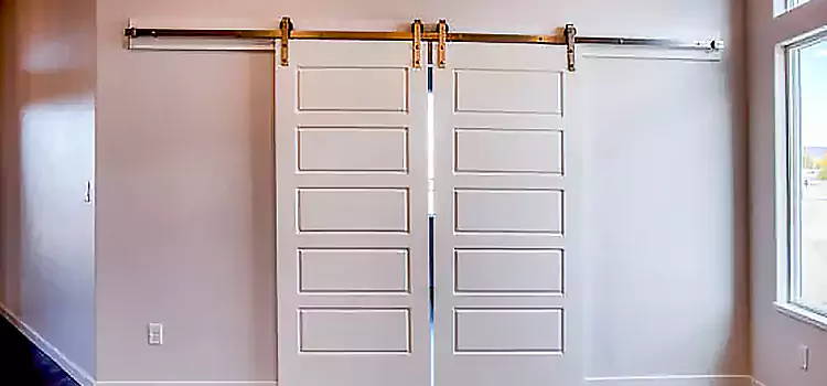 Glass Barn Door with Installation Hardware Kit Waverly