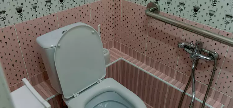 Meeting Diverse Needs With Accessible Restroom Solutions in Waverly, MI