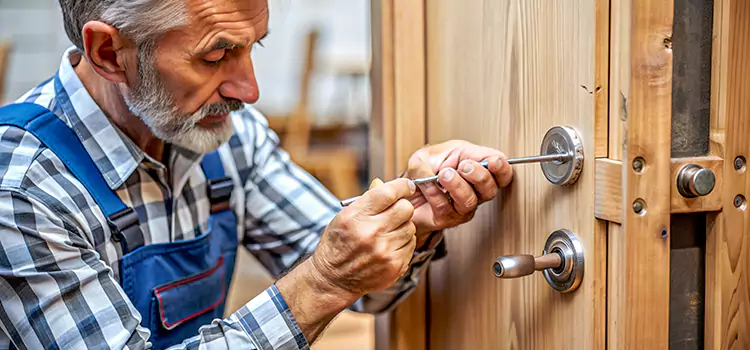Mortise Replacement Lock Waverly