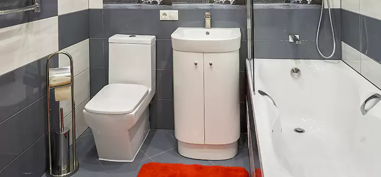 Hansgrohe Shaving Mirror Waverly