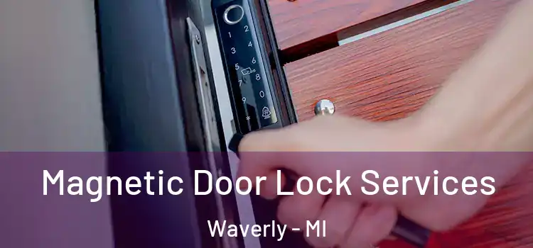  Magnetic Door Lock Services Waverly - MI