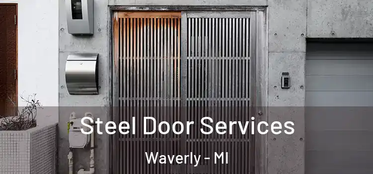  Steel Door Services Waverly - MI