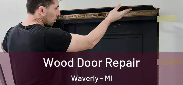  Wood Door Repair Waverly - MI